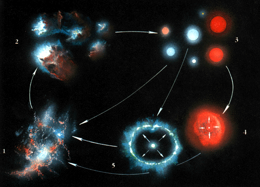 The gas and dust circulation in the
Universe