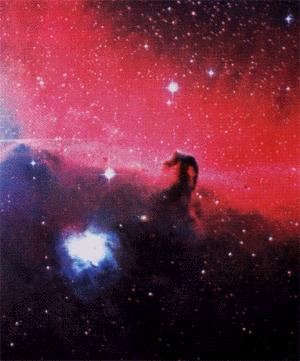 The dark nebula of the horse head in Orion constellation