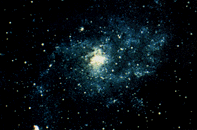 The spiral galaxy m33