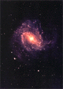 The spiral galaxy  83