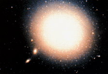 The elliptic galaxy  87