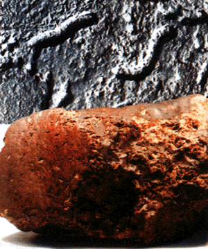 Meteorite from Mars