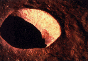 New crater on the Moon