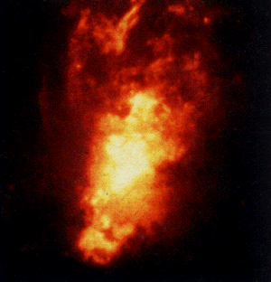    NGC 1068