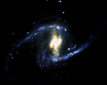 The galaxy NGC 1365