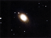  NGC 3031