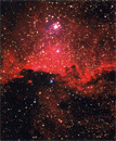 The rarefied congestion NGC 6193