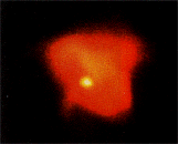 Pulsar - the neutrone star