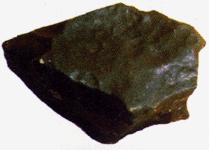 The stone meteorite