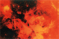The bright emissial nebula
